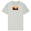 T425 Unisex Adult Cotton Jersey T-Shirt Thumbnail