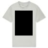 T425 Unisex Adult Cotton Jersey T-Shirt Thumbnail
